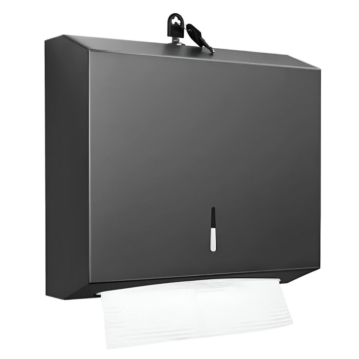 GREEN HOUSE - Dispensador de Papel Higiénico Acero Inoxidable negro