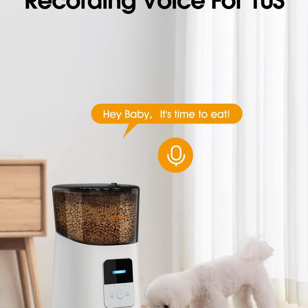 GENERICO - Alimentador Inteligente  WiFi para Mascotas