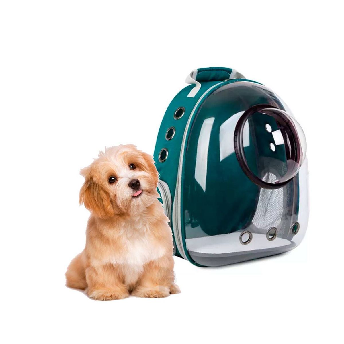 GENERICO - Mochila Para Mascota Capsula Verde