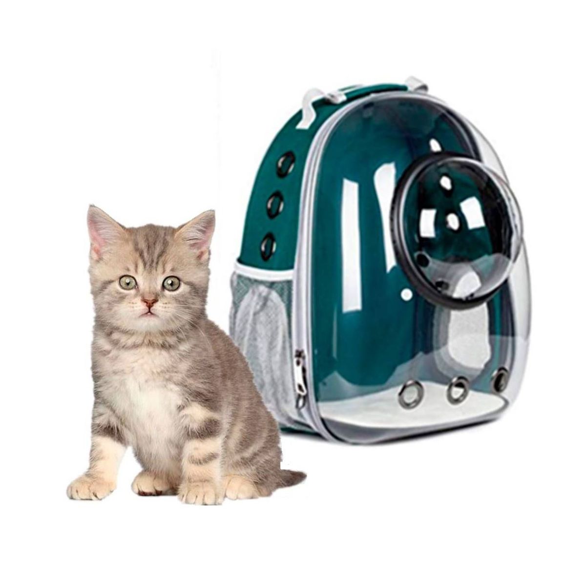 GENERICO - Mochila Para Mascota Capsula Verde