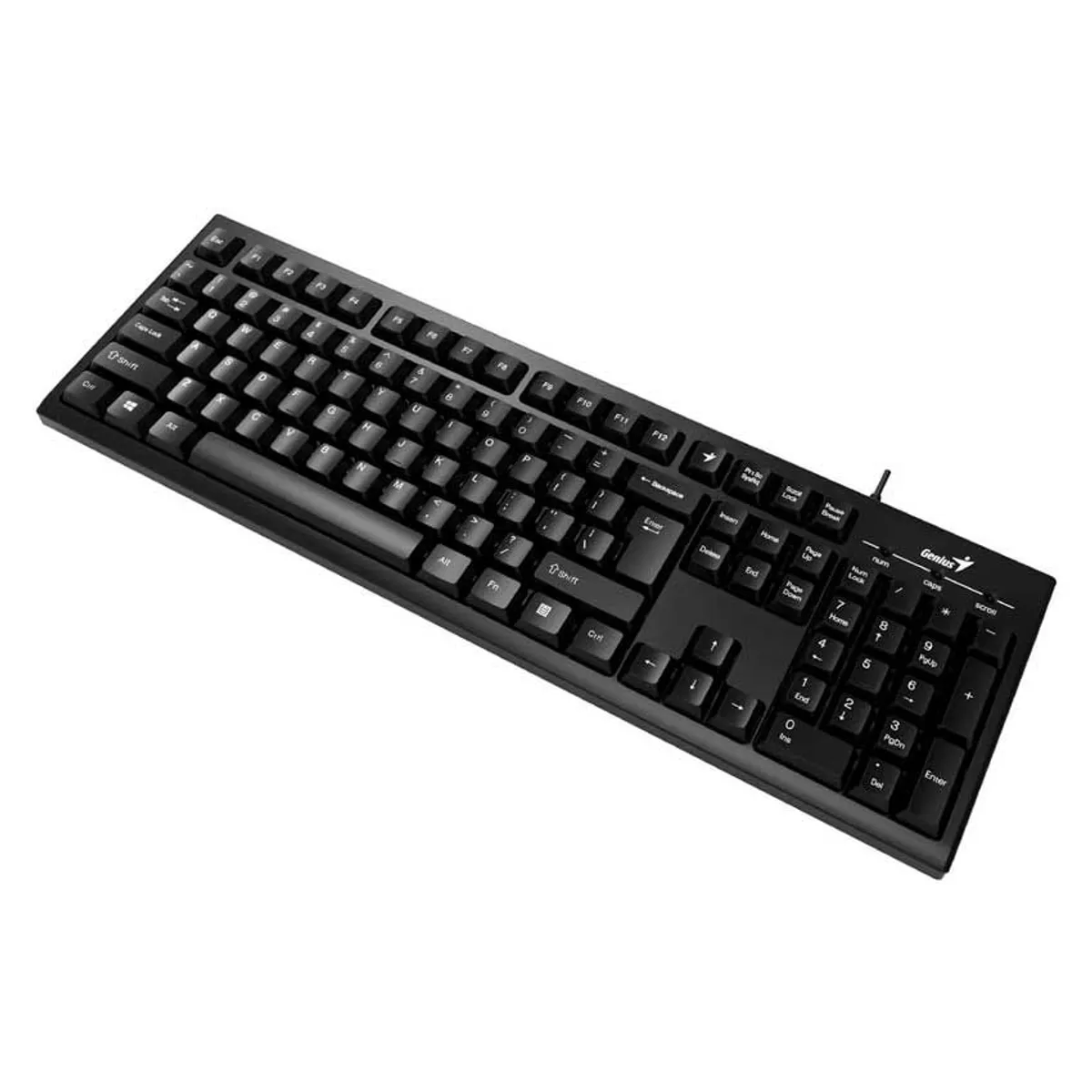 GENIUS - Kit Teclado Y Mouse Genius  KB-100 + DX-110 Cableado USB Español