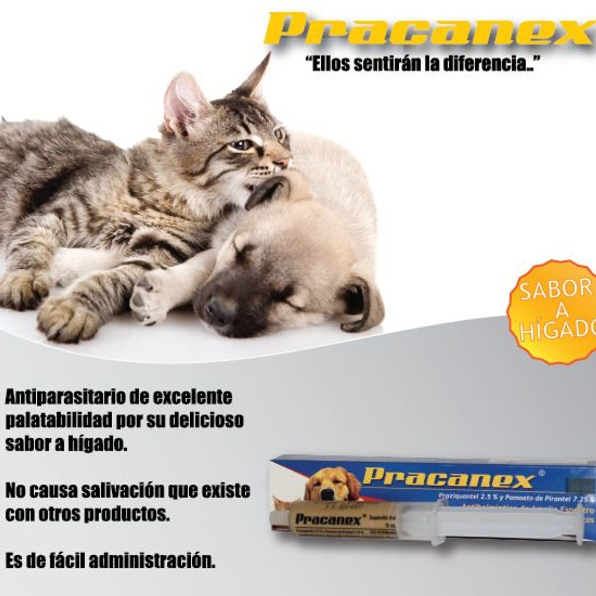 GENERICO - PRACANEX 10 ML ANTIPARASITARIO VIA ORAL