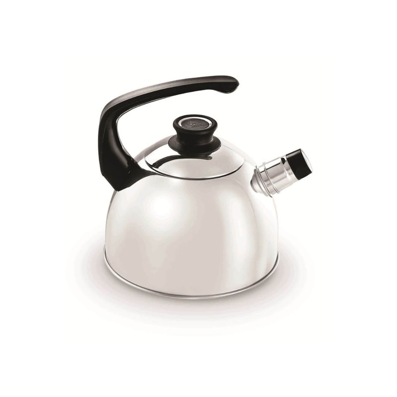 RECORD - Tetera de Acero Inoxidable RECORD de 3.2 Litros con 22 cm y Fondo Difusor