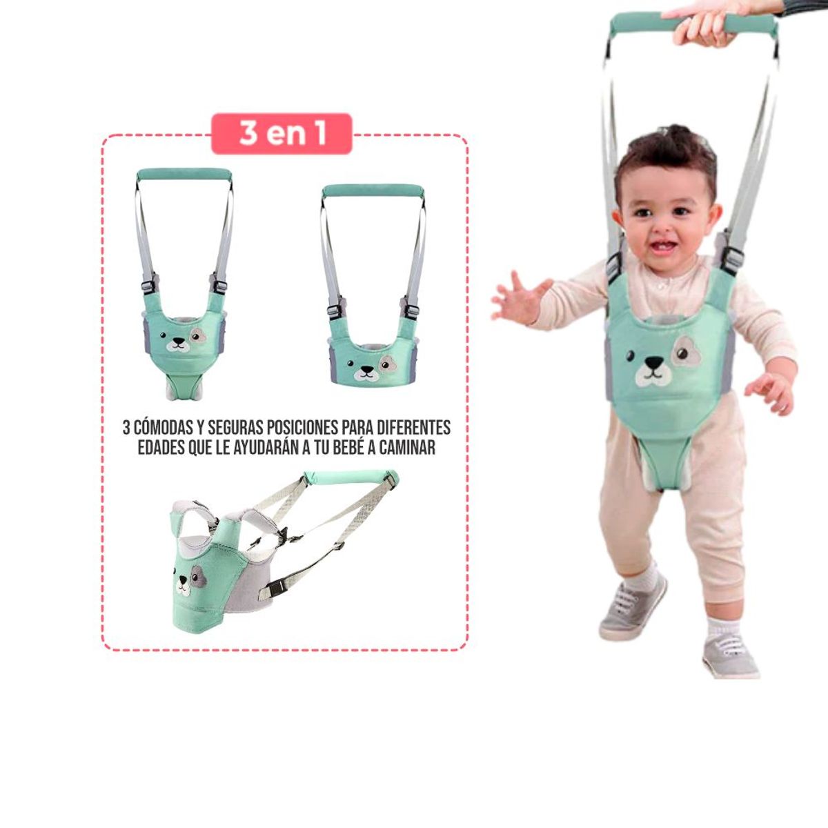BABY - Arnes para Caminar 3 en 1 para Bebés VERDE