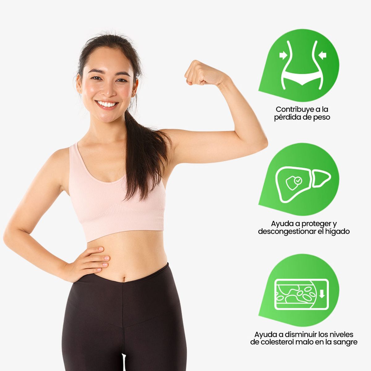 SANTA NATURA - CONCENTRADO ALCACHOFA