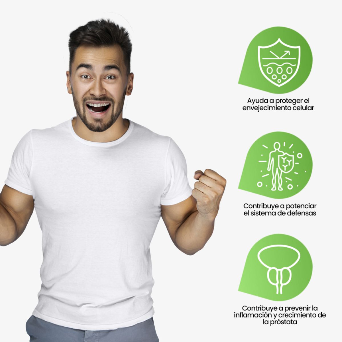 SANTA NATURA - CONCENTRADO KALMAPROSS