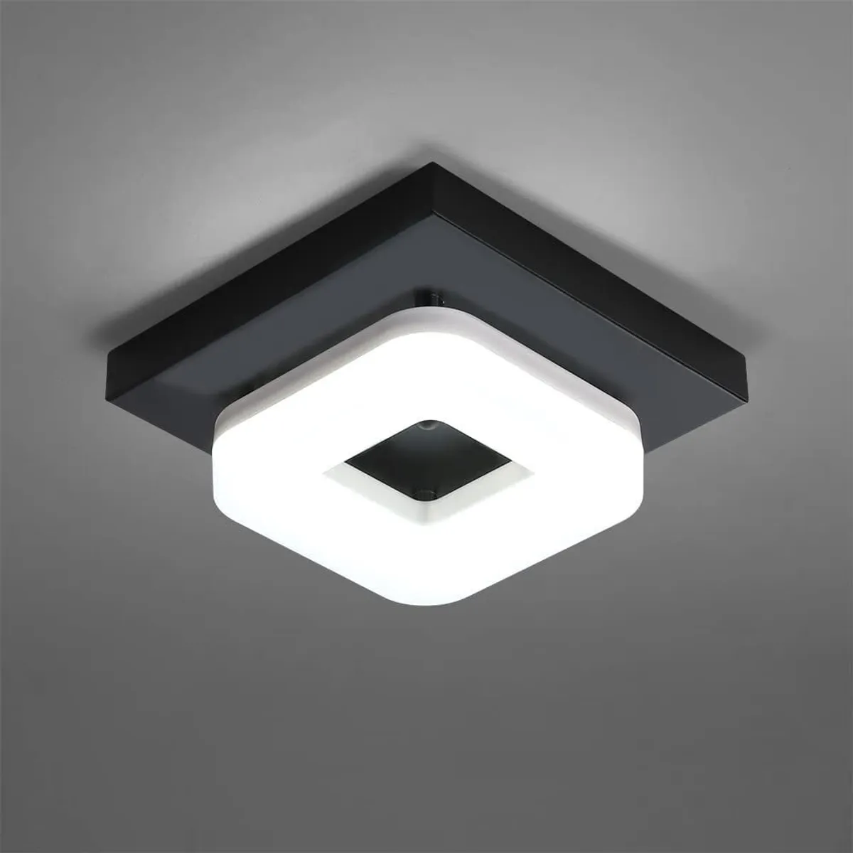 HOME NEAT - Lámpara de techo LED Cristal Moderna 12W Blanco Frío Ø20CM