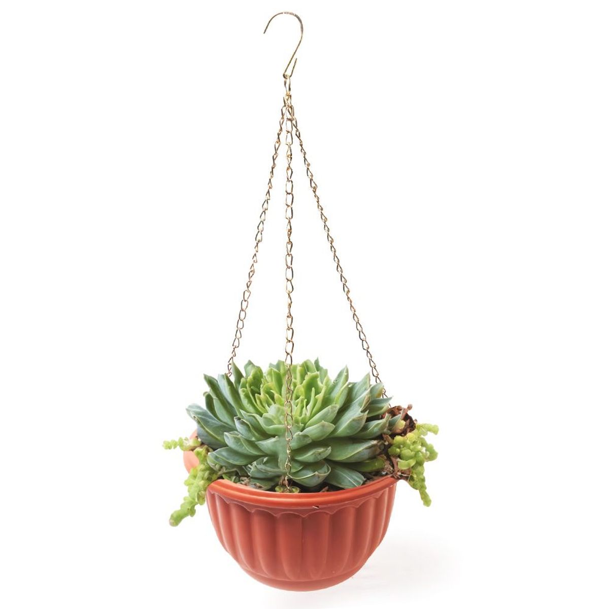 KELLER - Macetero Colgante Maceta Circular Decoración de Jardín L14 Marrón
