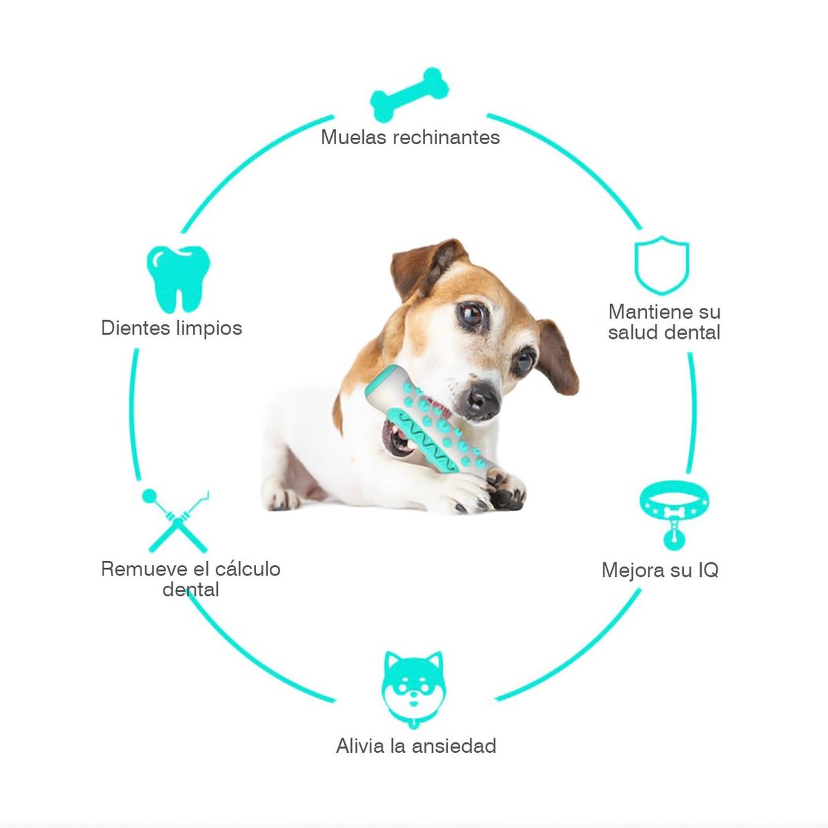 GENERICO - Juguete Masticable Para Perro Tipo Hueso Cepillo Para Perro