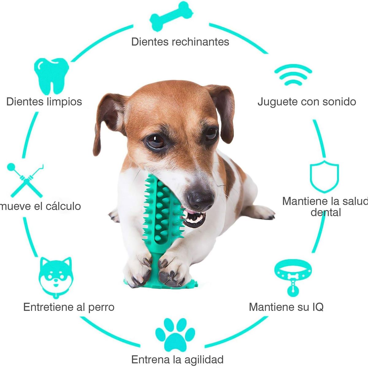 GENERICO - Juguete Masticable Para Perro Juguete De Limpieza Dental