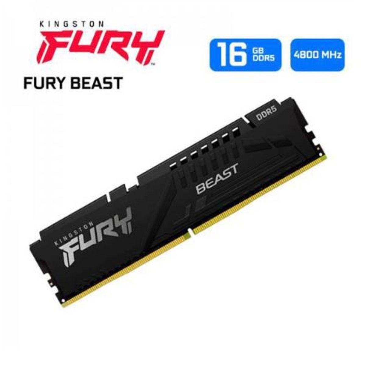 KINGSTON - Memoria Ram Kingston Fury Beast 16GB DDR5 4800MHz