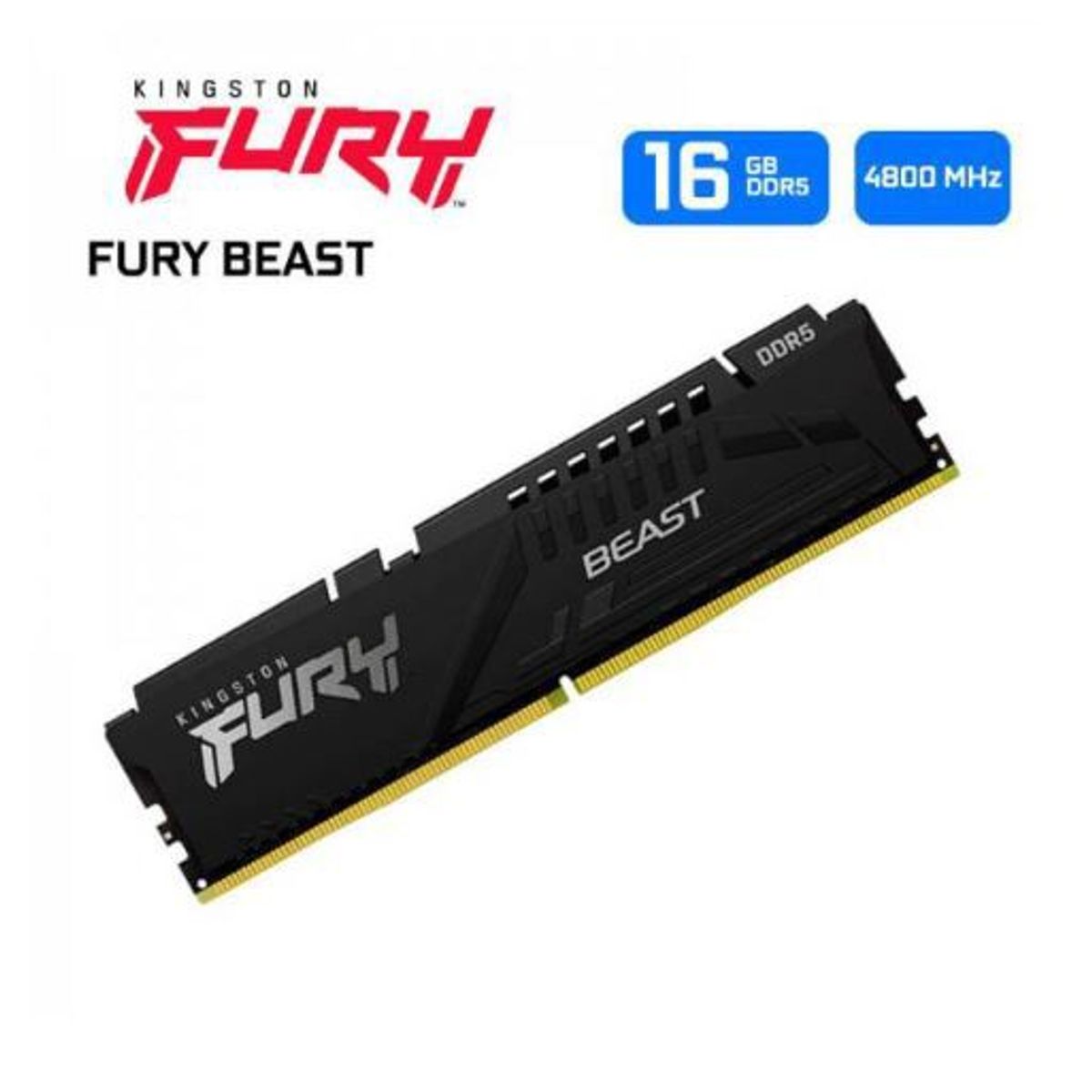 KINGSTON - Memoria Ram Kingston Fury Beast 16GB DDR5 4800MHz