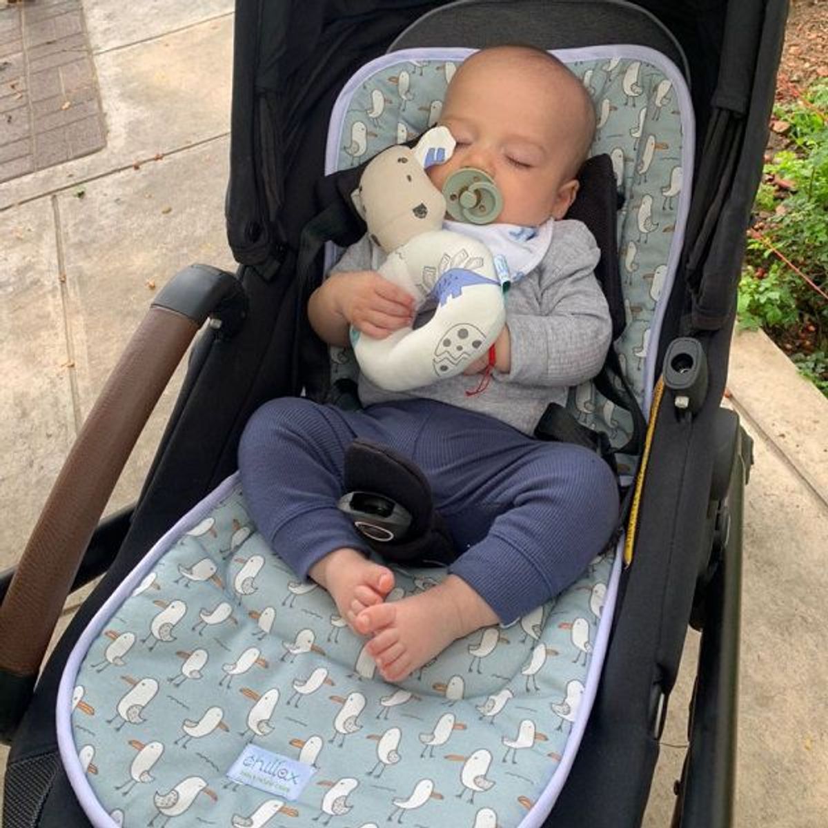 CHILLAX - Colchoneta coche chillax Jungle  universal