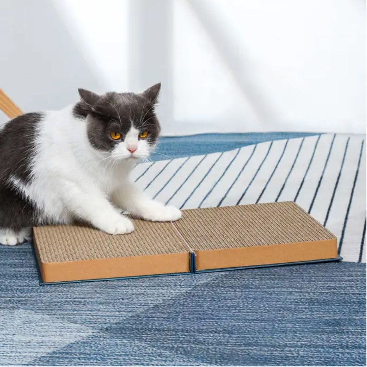 GENERICO - Juguete rascador libro de Halloween para gatos