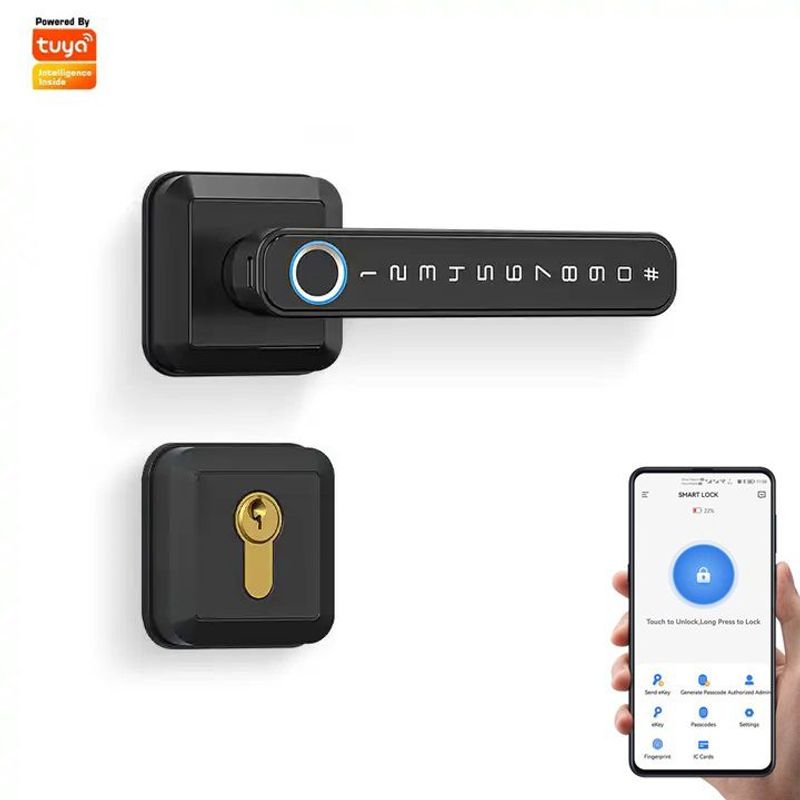 TECH CARE - Cerradura Smart Doble Pestillo con APP  Asesoría de Instalación