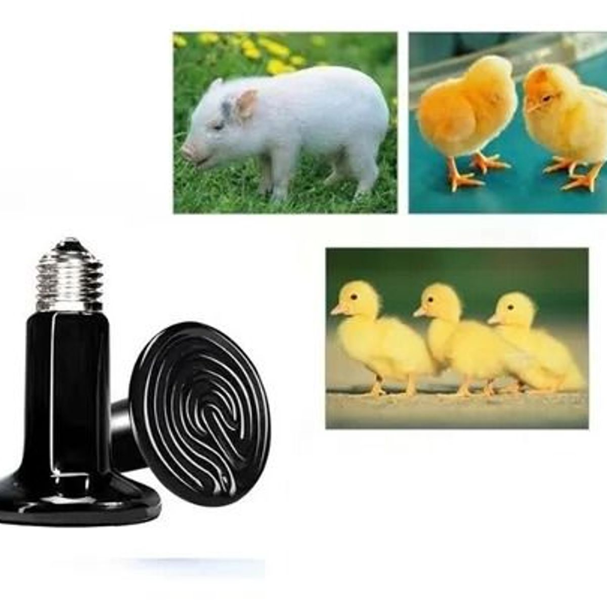 GENERICO - FOCO CERÁMICA CALENTADOR INCUBADORAS REPTILES