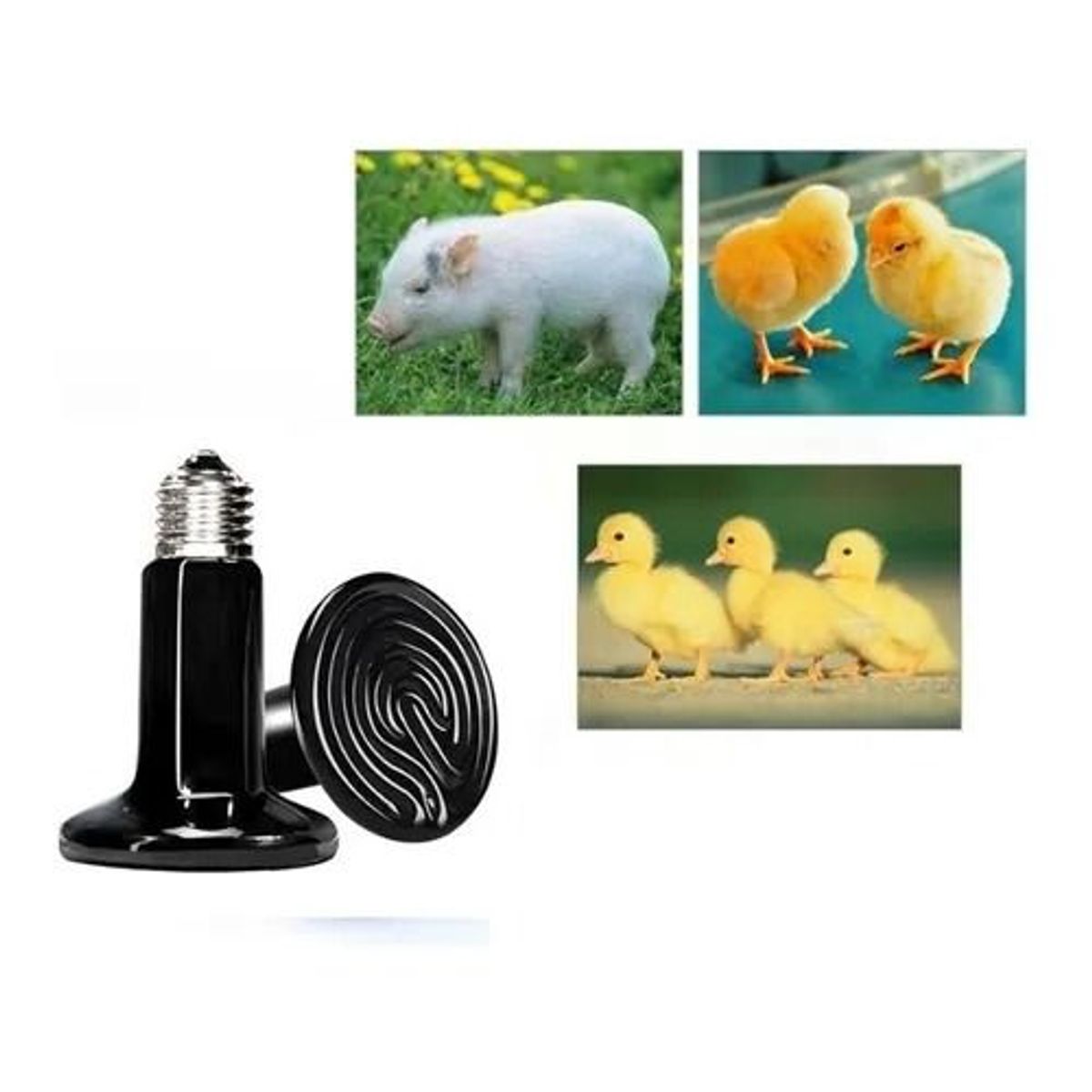 GENERICO - FOCO CERÁMICA CALENTADOR INCUBADORAS REPTILES