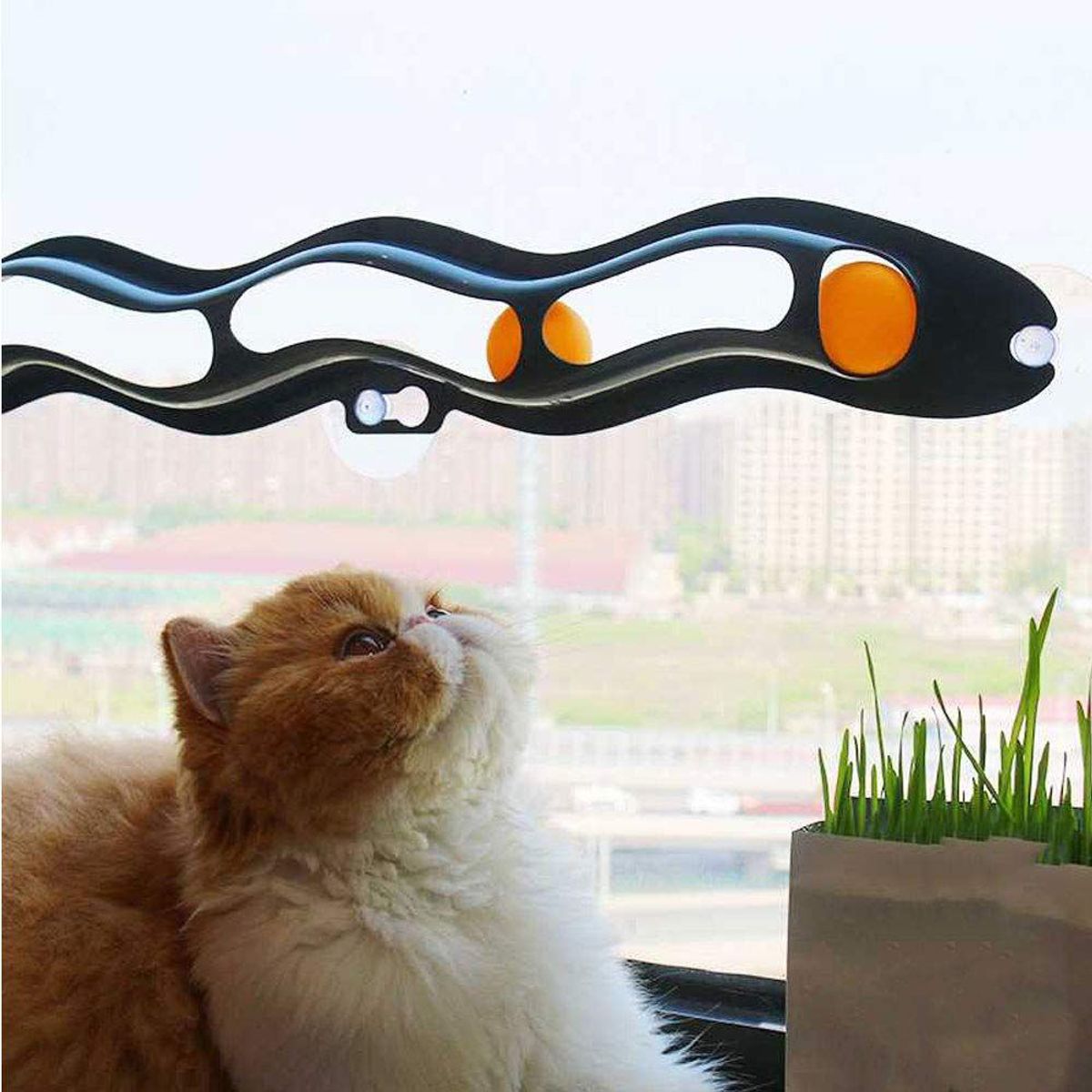 GENERICO - JUGUETE INTERACTIVO DE VENTANA PARA GATO