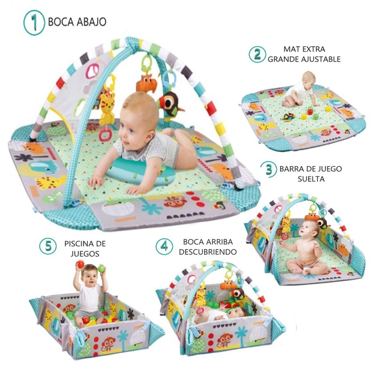 IDEAL - Gimnasio para Bebé multifunción 5 en 1 Niño