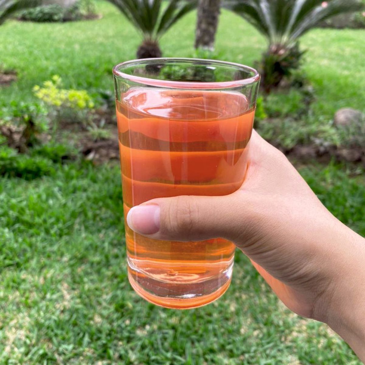 EXOTICA - Granada polvo atomizado x 100 gr