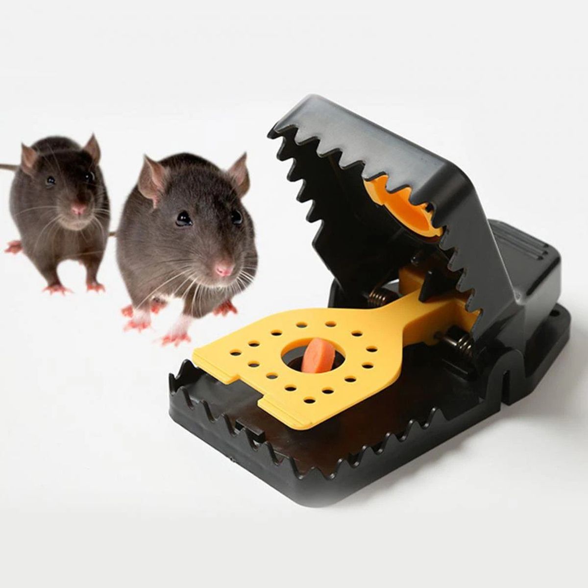 GENERICO - TRAMPA PARA RATAS RATONES X6 UNIDADES TAMAÑO GRANDE MUY UTIL LID