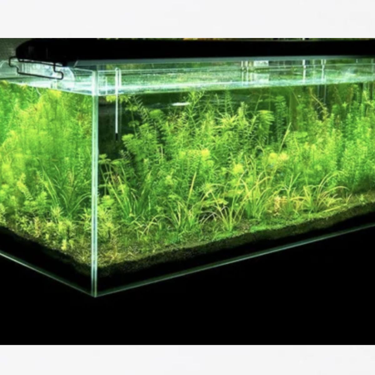 GENERICO - Luz de Acuario LED Ultra Delgado Especial Lampara Pecera