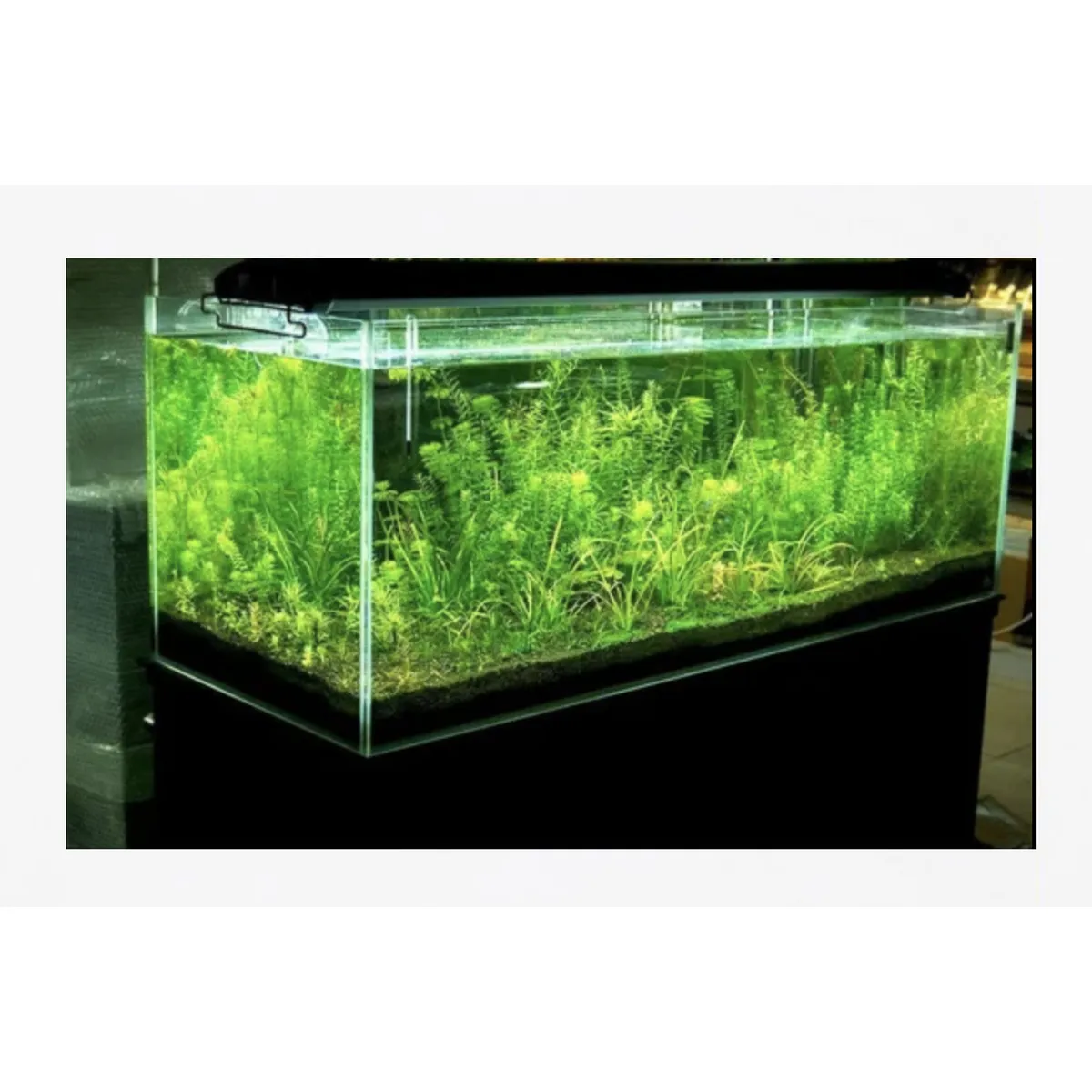 GENERICO - Luz de Acuario LED Ultra Delgado Especial Lampara Pecera