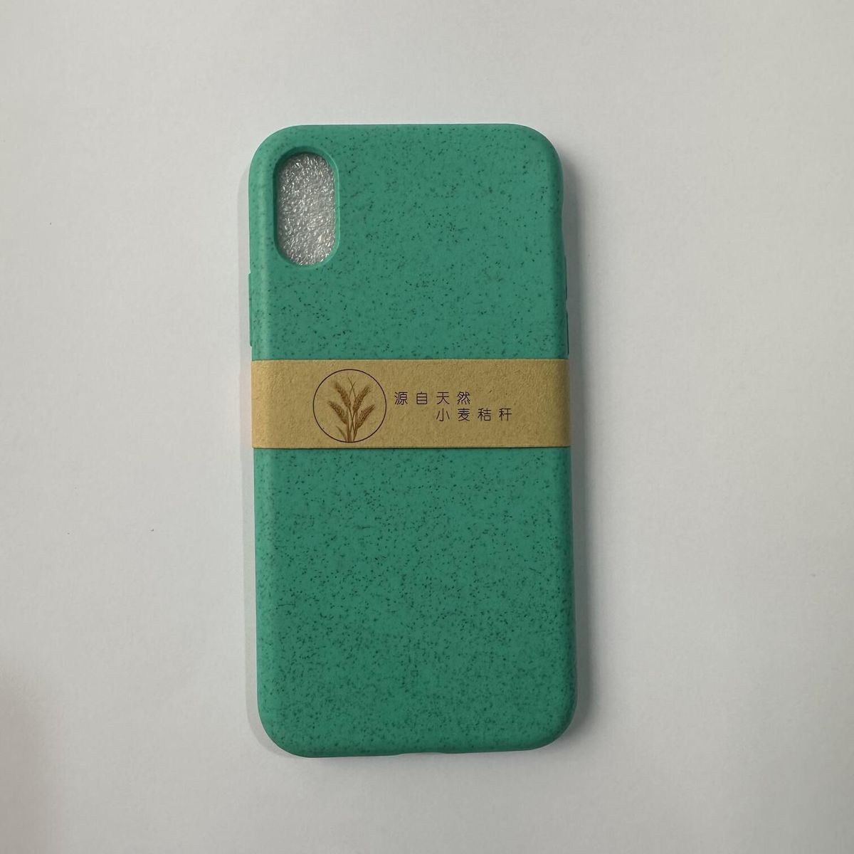 GENERICO - CASE IPHONE X IPHONE XS VERDE AGUA