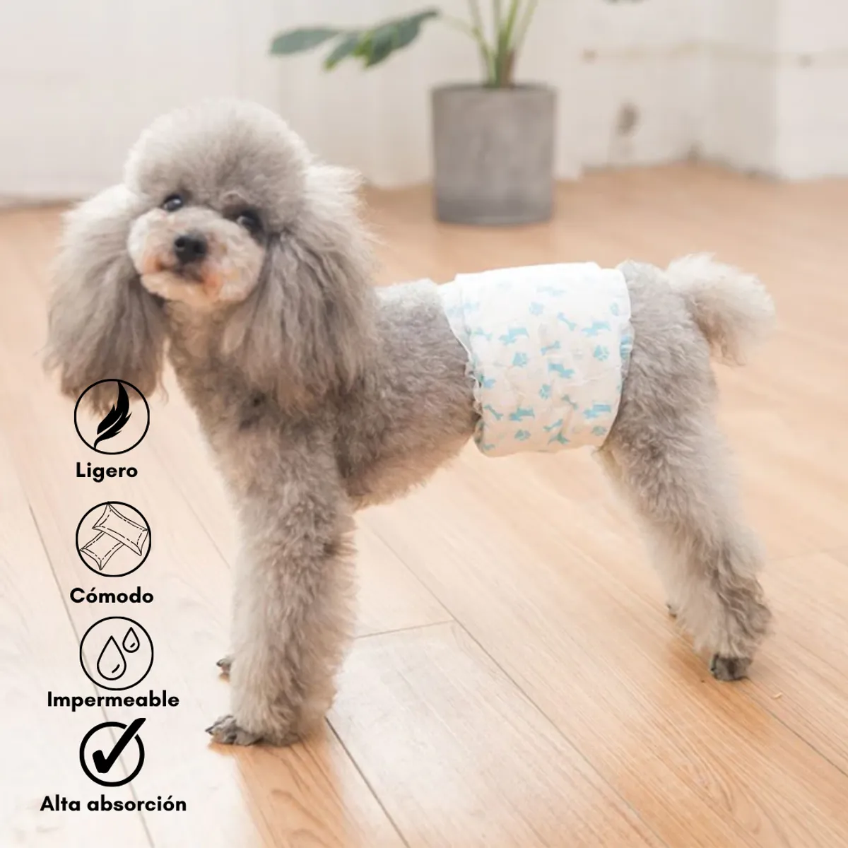 GENERICO - Pañales para Perros Macho S 25-33cm