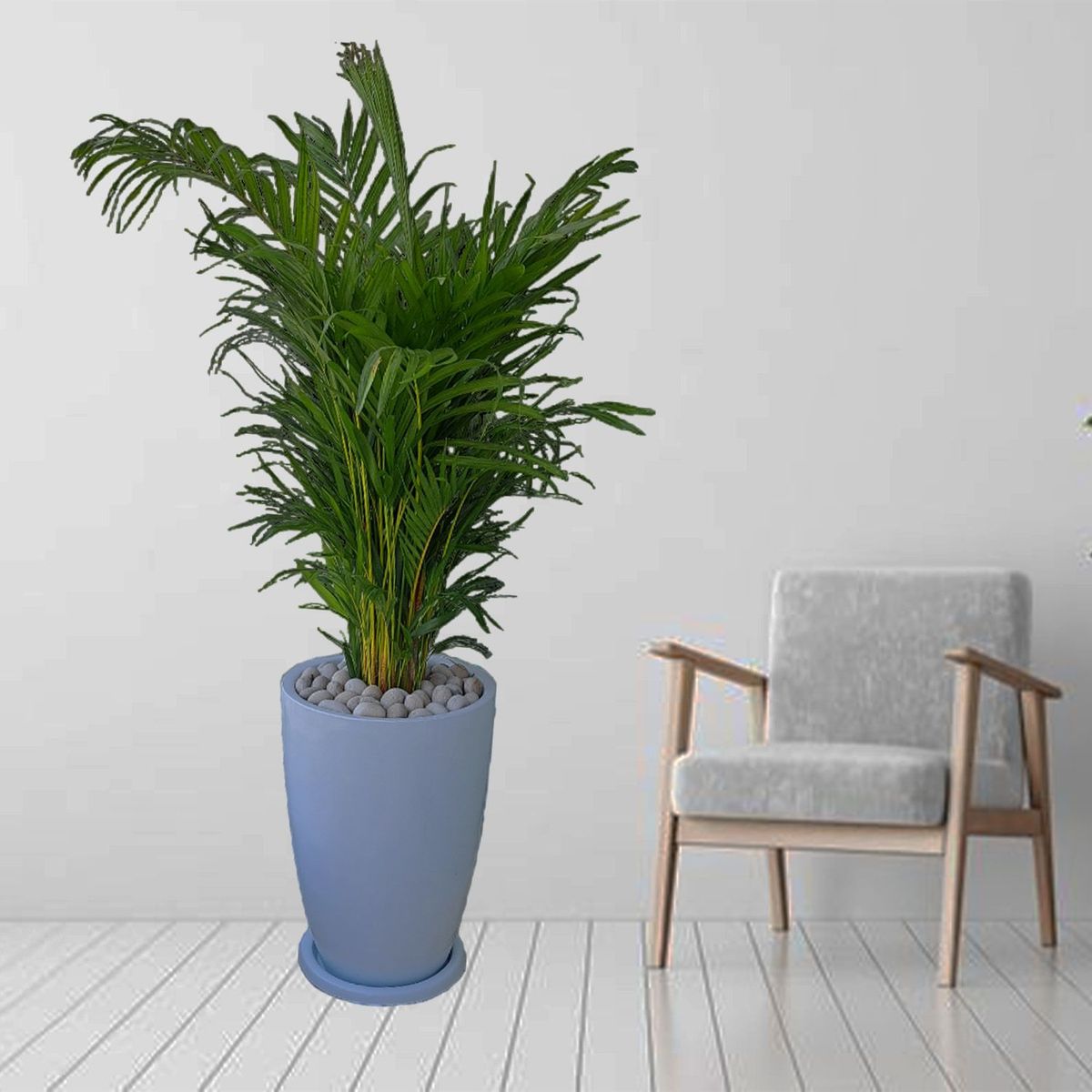 GENERICO - PALMERA HAWAIANA EN MACETA MALVA BLANCO