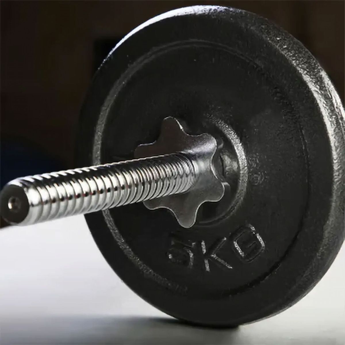 ALPHA GYM - Barra W para pesas y discos Barra importada  Seguros