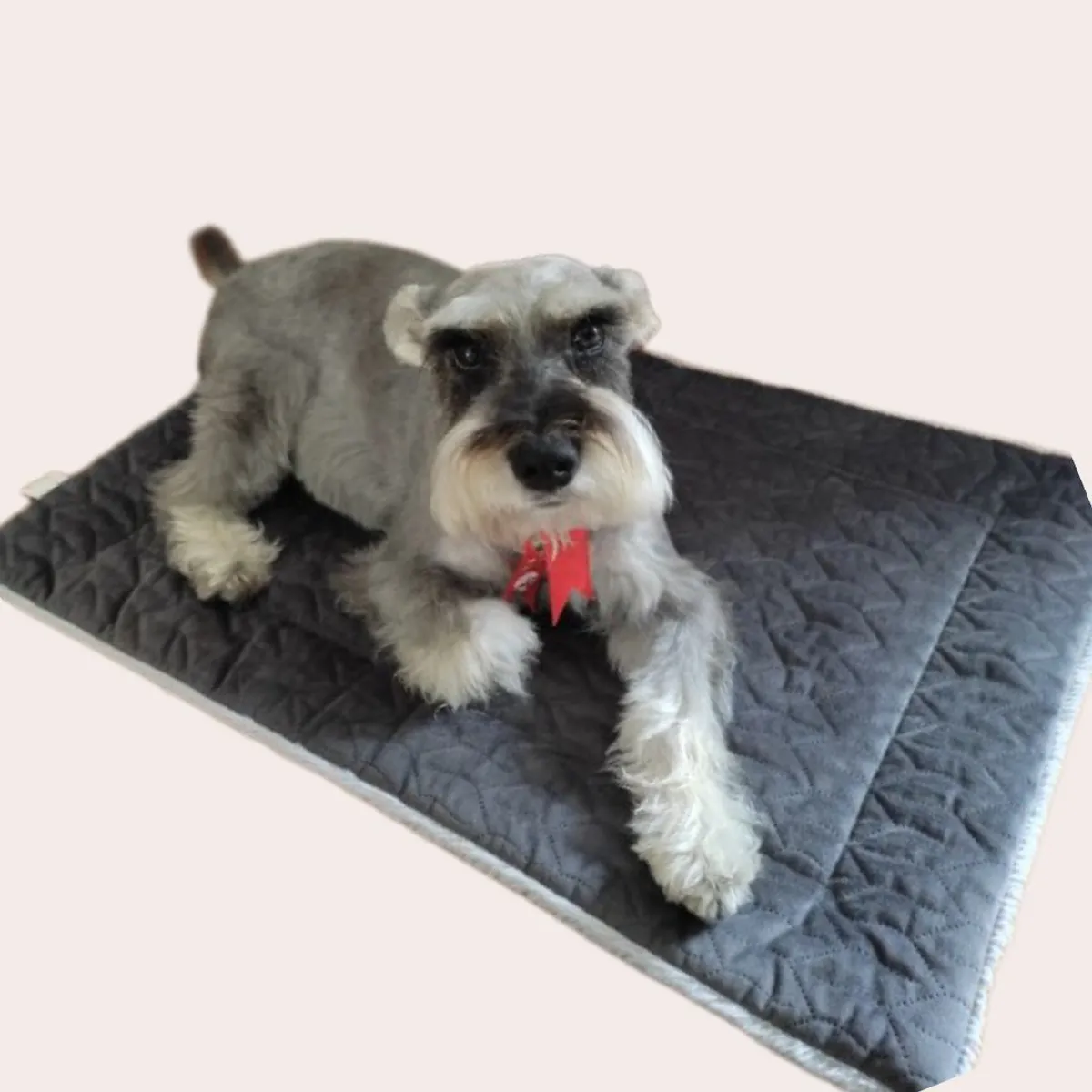 GENERICO - Cama Portátil para Mascota Elite Confort -S 70X47cm