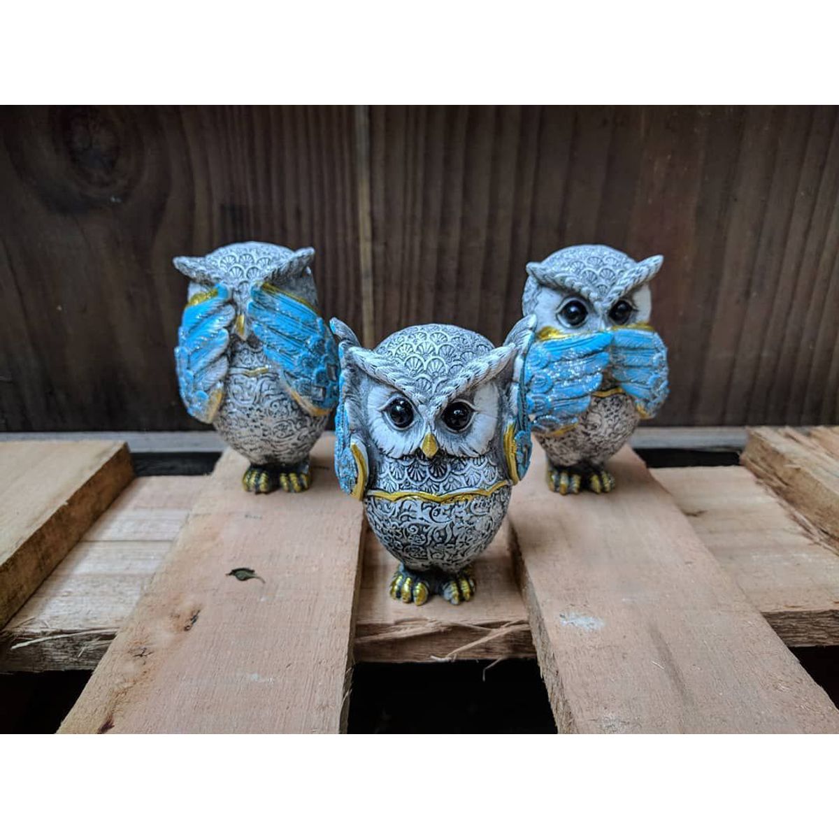 GENERICO - Adornos set de búhos sabios celeste