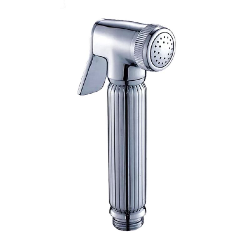 GENERICO - Ducha Teléfono plateado DT3104C