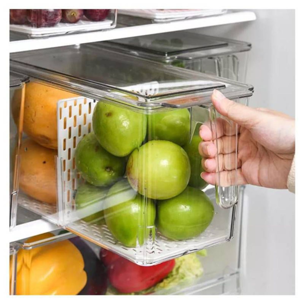 GENERICO - aper organizador de refrigerador con asa y divisiones