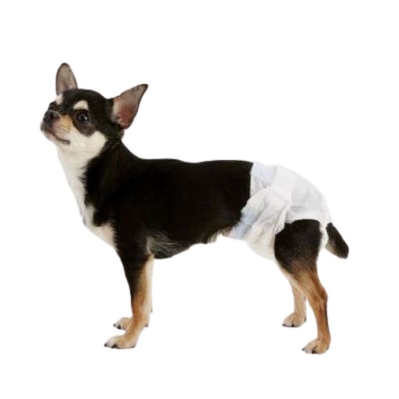 GENERICO - Pañales para mascotas Hembra Talla S 37x27cm