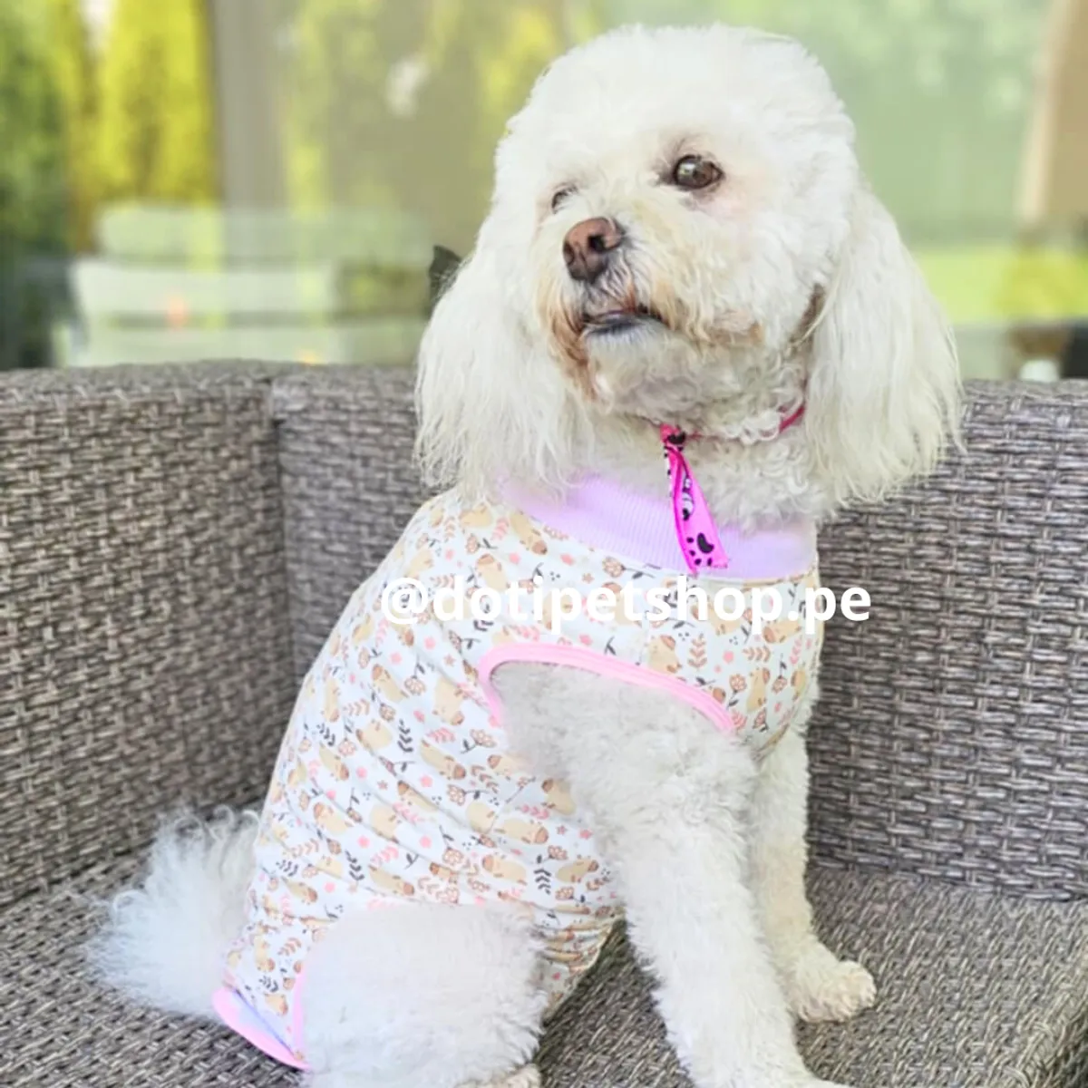 GENERICO - Faja Post Operatoria para Perro Hembra - XL 56-66cm