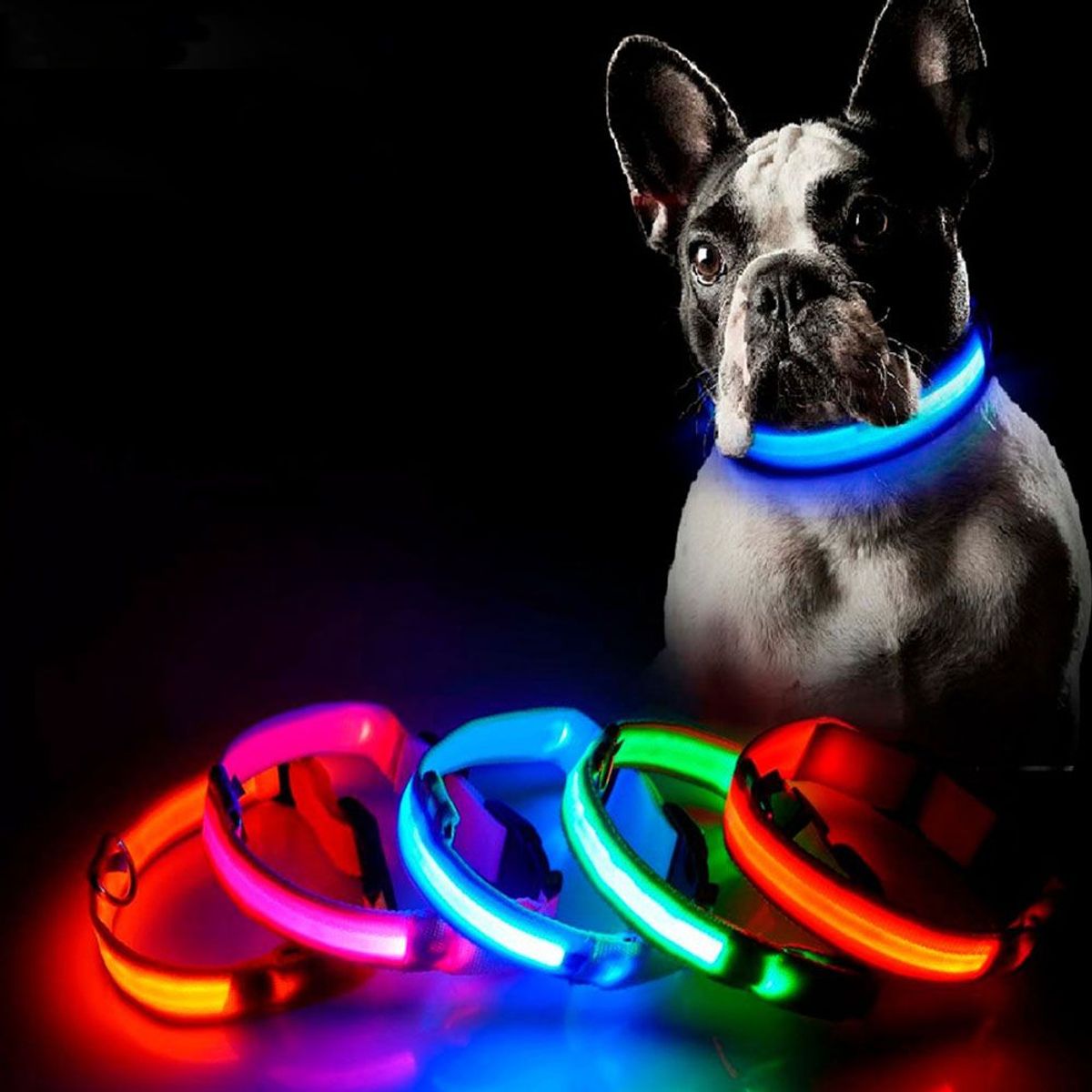 QUE PATAS PET SHOP - Collar LED para Mascotas Amarillo Talla L