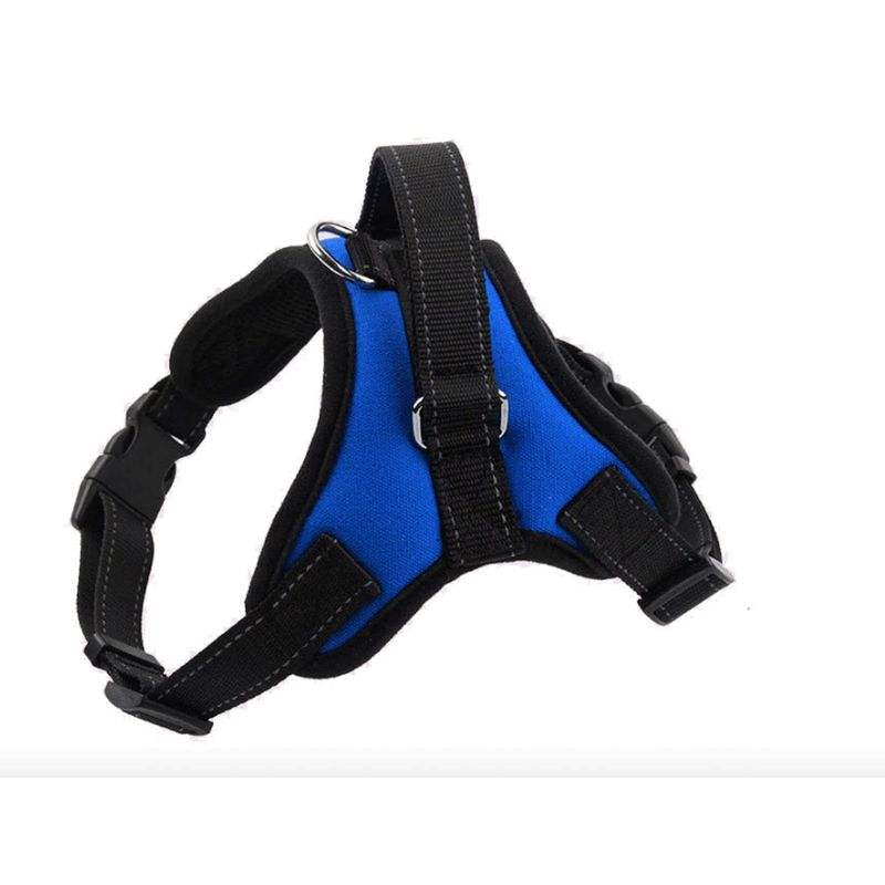 QUE PATAS PET SHOP - Arnes para Perros Grandes Azul M