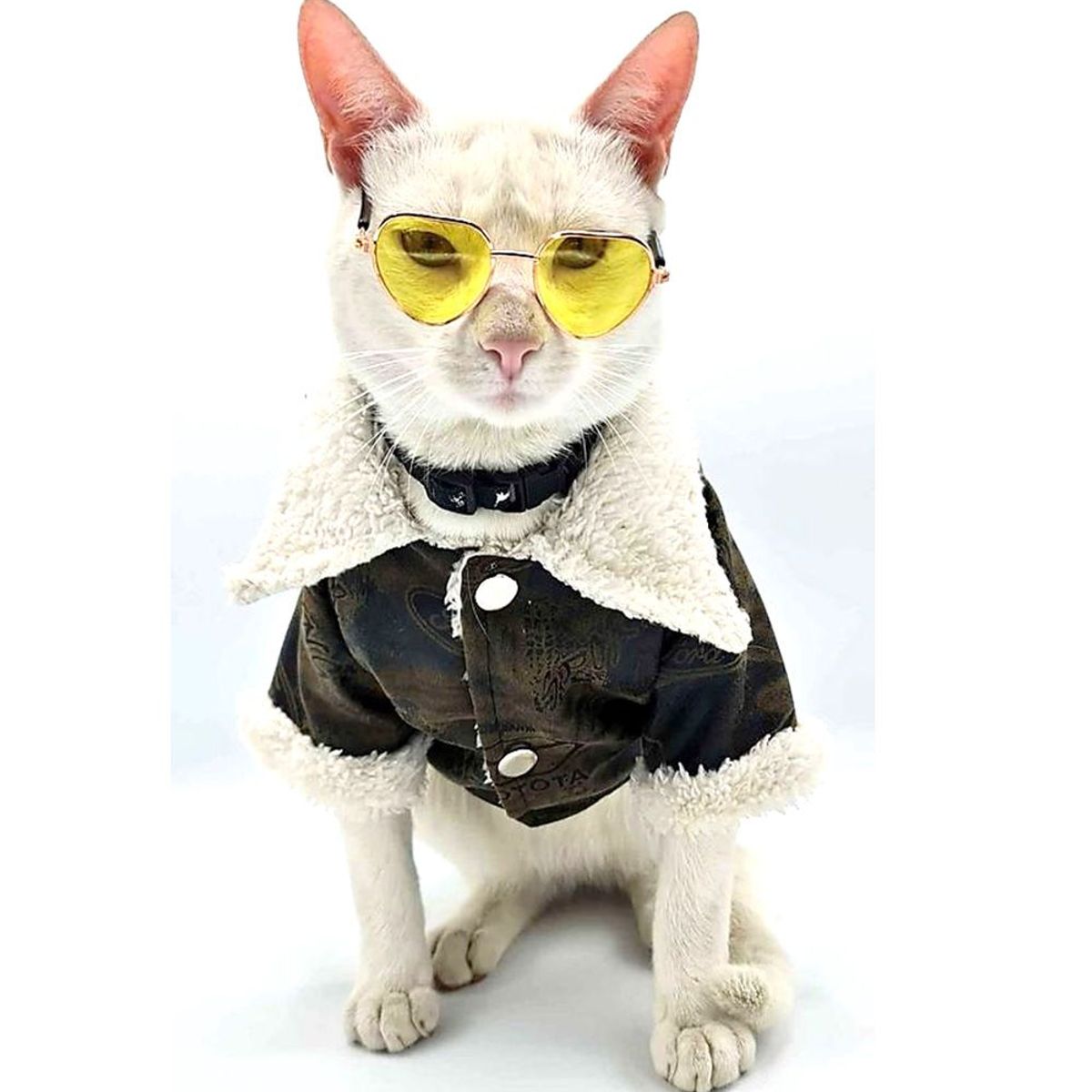 MD - Ropa Casaca para Mascotas Modelo Aviador T-M color marrón