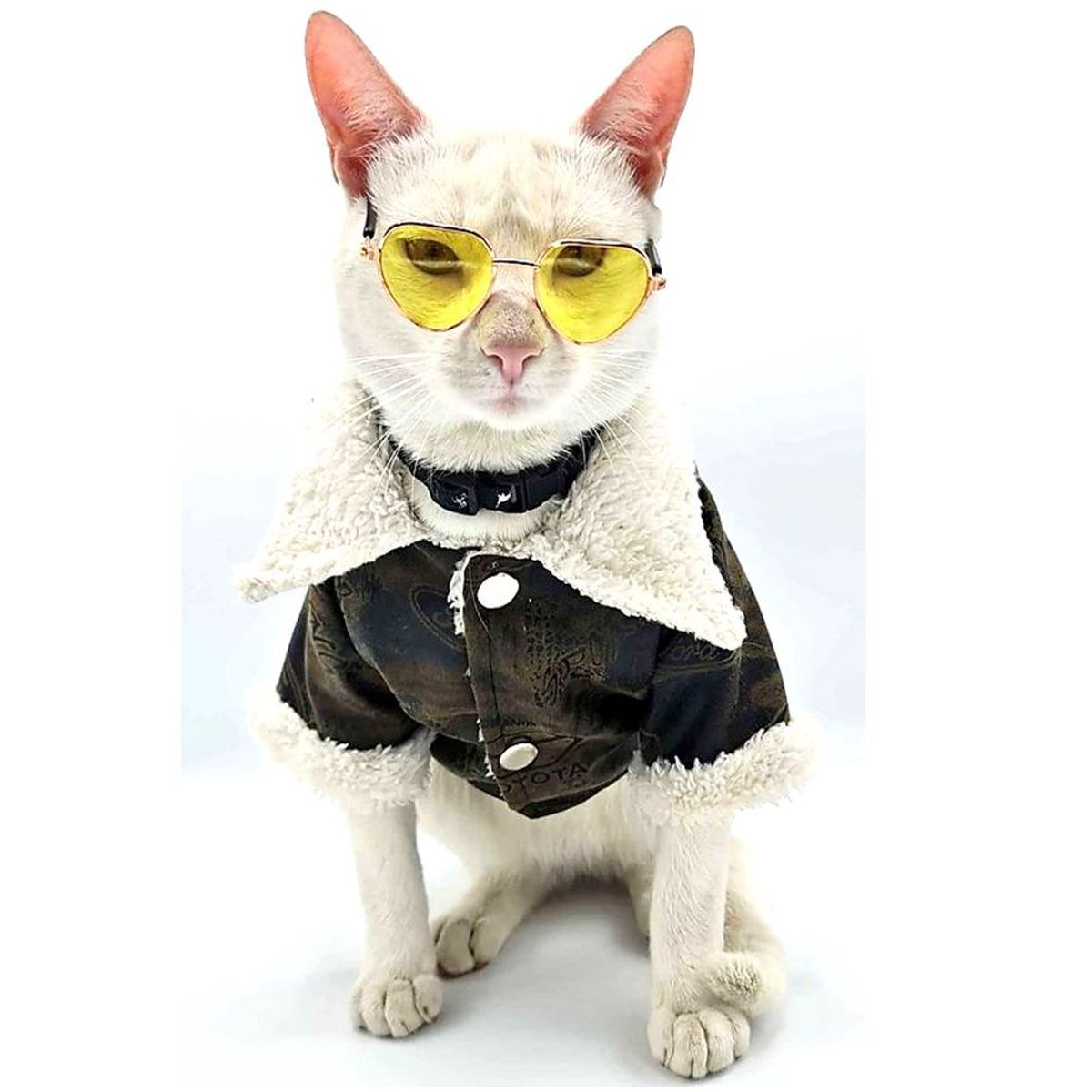 MD - Ropa Casaca para Mascotas Modelo Aviador T-M color marrón