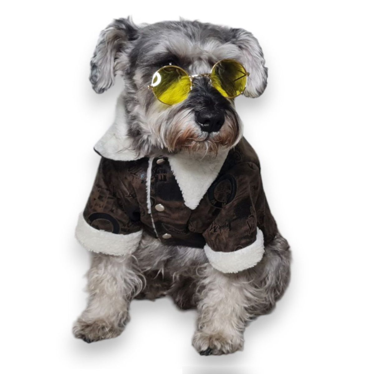 MD - Ropa Casaca para Mascotas Modelo Aviador T-M color marrón