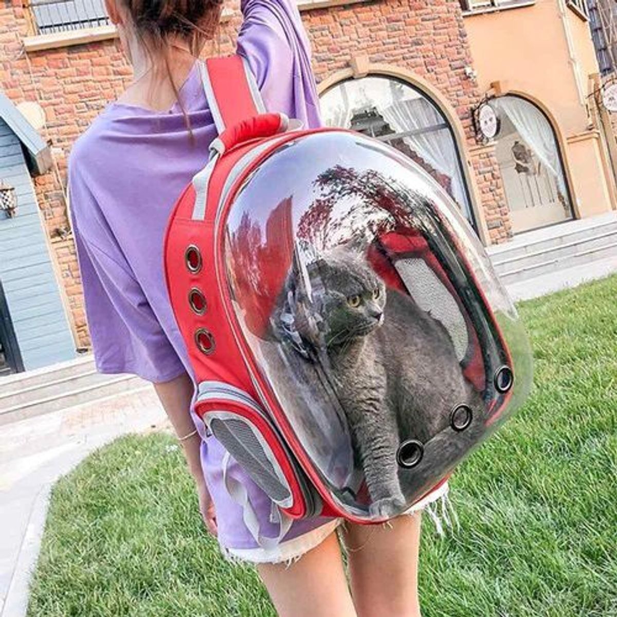 GENERICO - Mochila Transportadora transparente para Gato y perro - Rojo