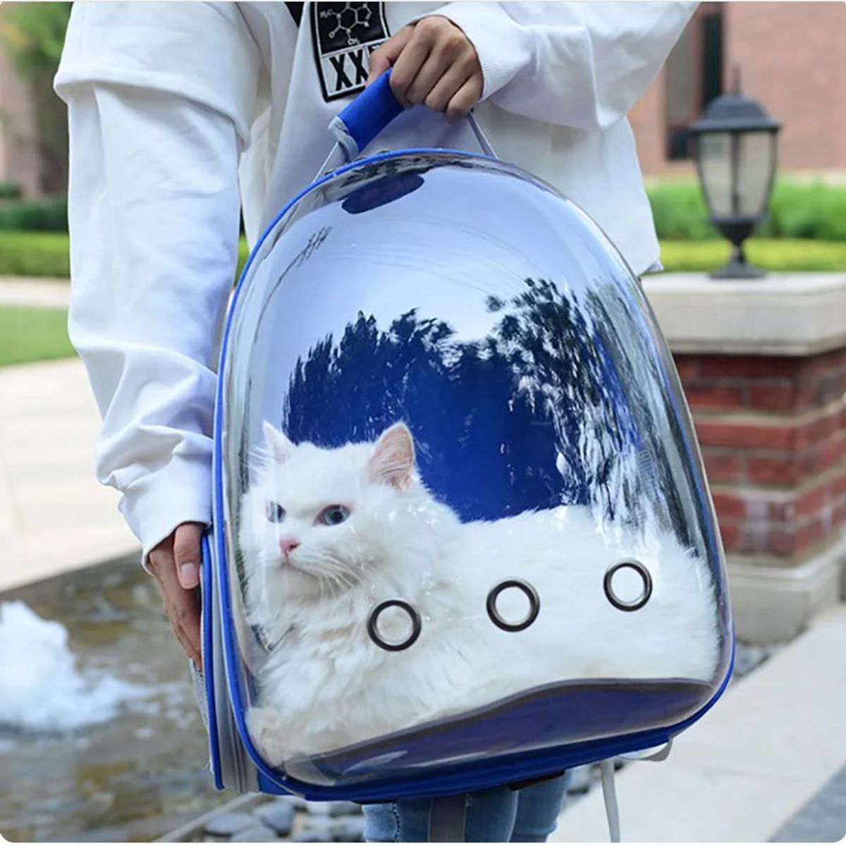 GENERICO - Mochila Transportadora transparente para Gato y perro - azul