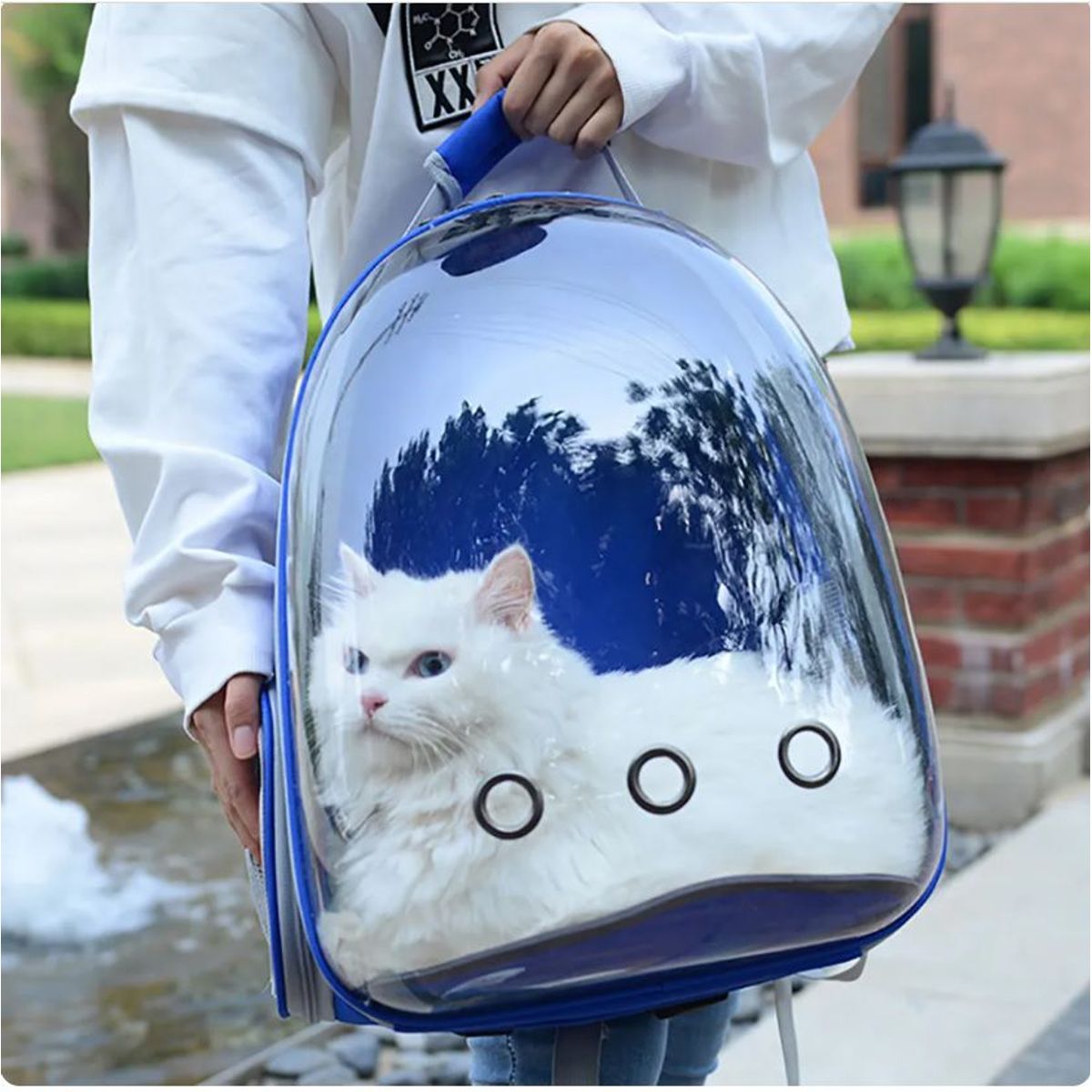 GENERICO - Mochila Transportadora transparente para Gato y perro - azul