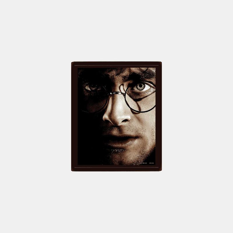 GENERICO - CUADRO 3D - HARRY POTTER - HARRY AND VOLDEMORT
