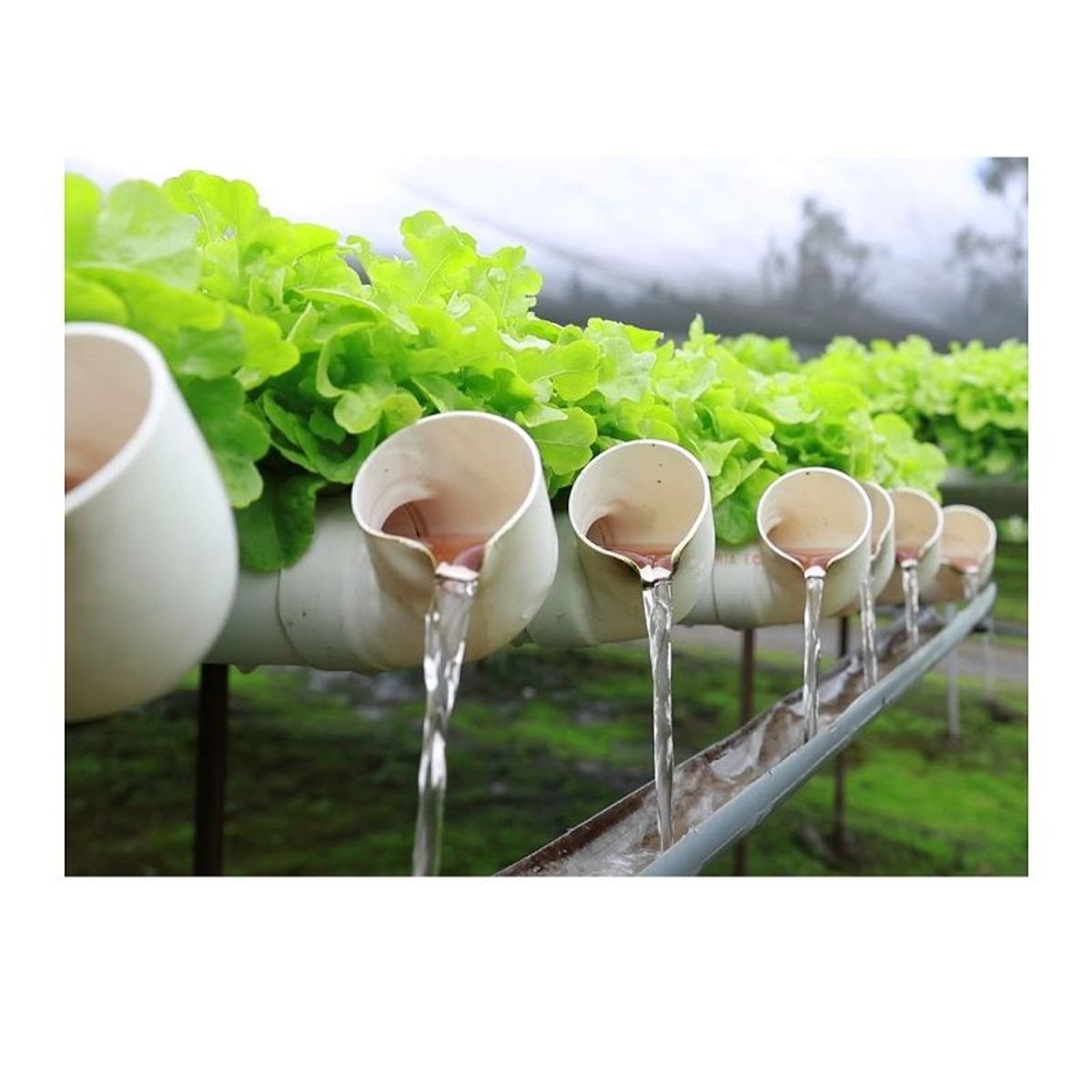 GENERICO - Bomba sumergible SOBO WP-3500 Pecera Hidroponía