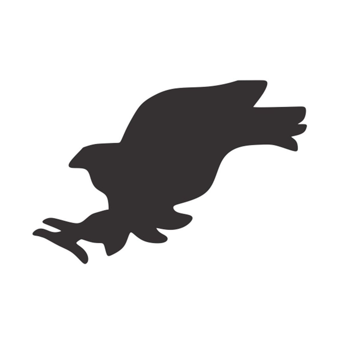 NYM - Lente De Sol Unisex Polarizado