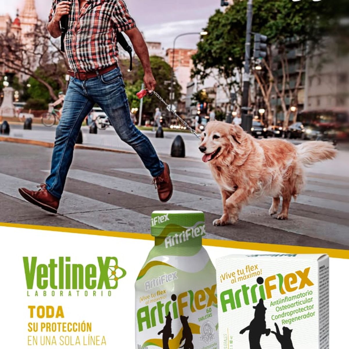 VETLINEX - ARTIFLEX  60 TABLETAS