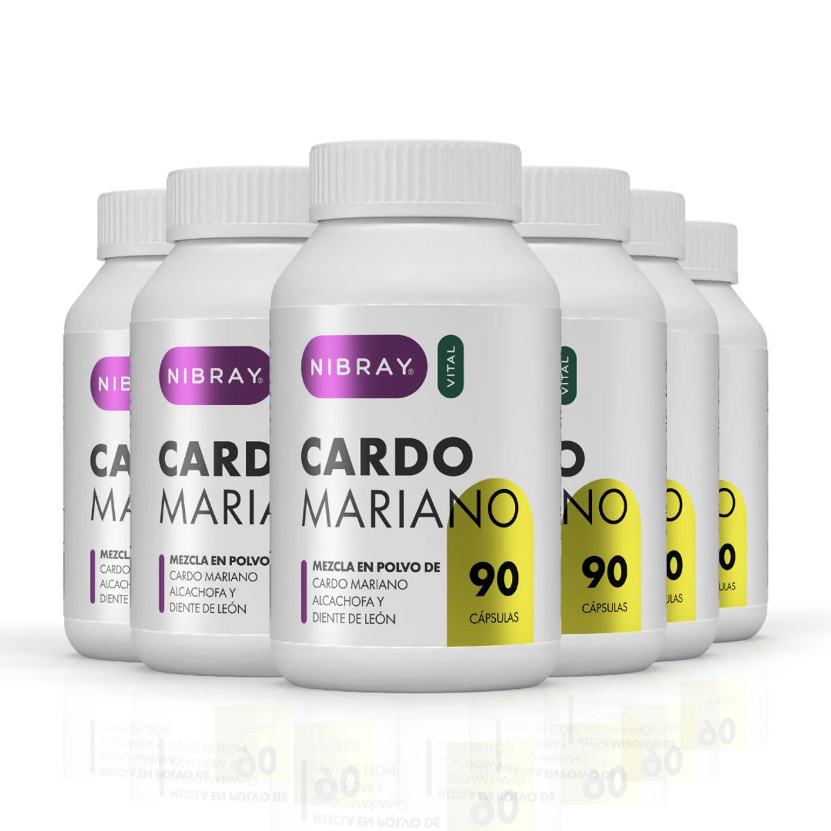 NIBRAY - Cardo Mariano Silimarina Alcachofa y Diente de Leon Pack 6 Frascos